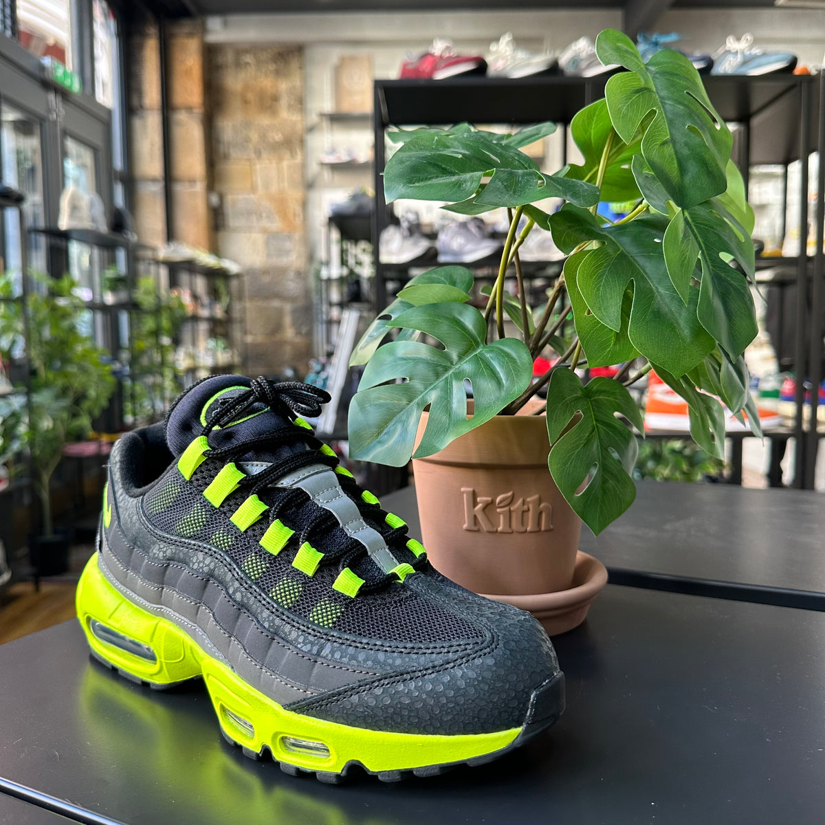 REC0883 - NIKE AIR MAX 95 KISS MY AIRS UK 7
