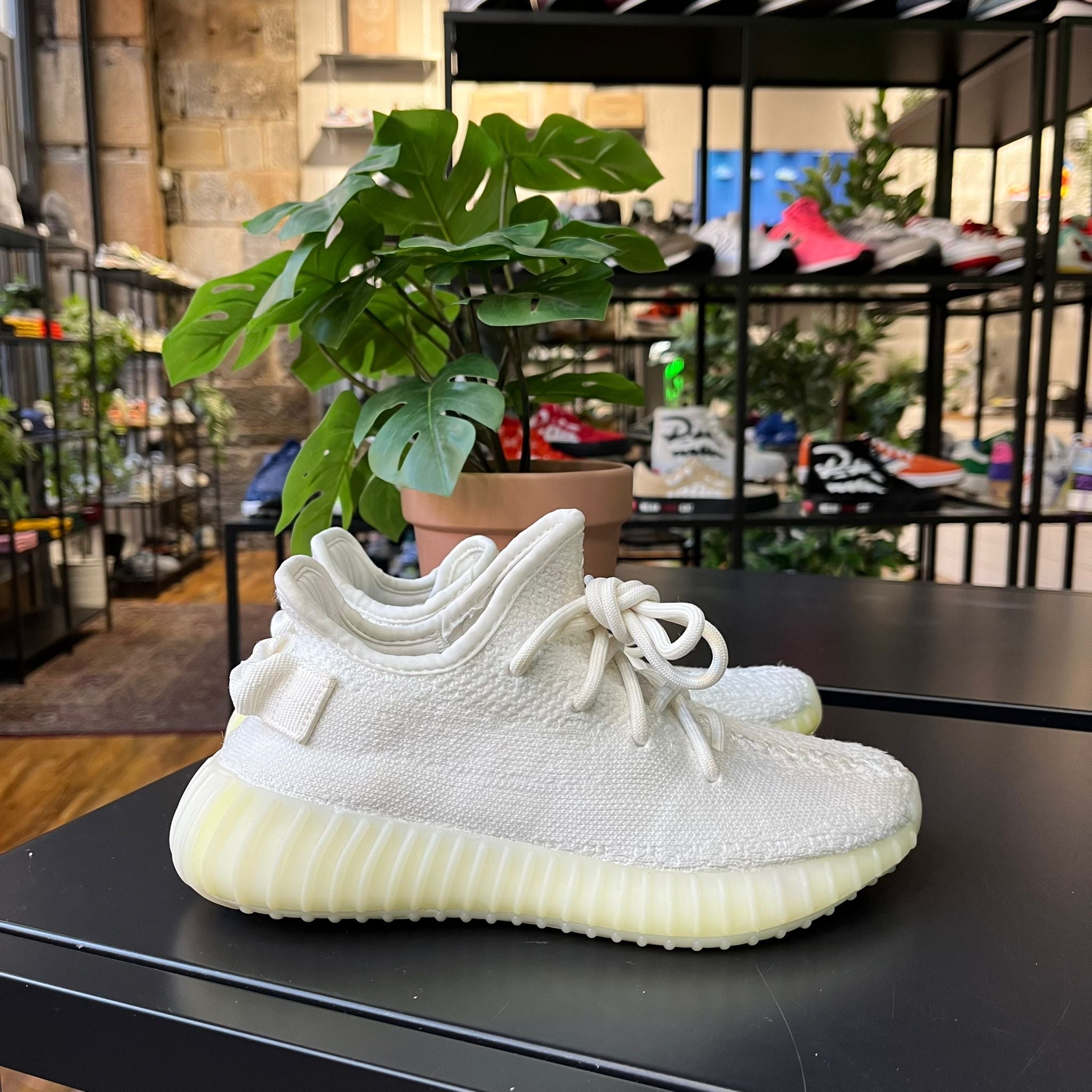 Yeezy 350 on sale cream on feet