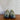Nike Air Max 95 SP x Corteiz | Gutta Green | FB2709-300 | 2022 | UK 5