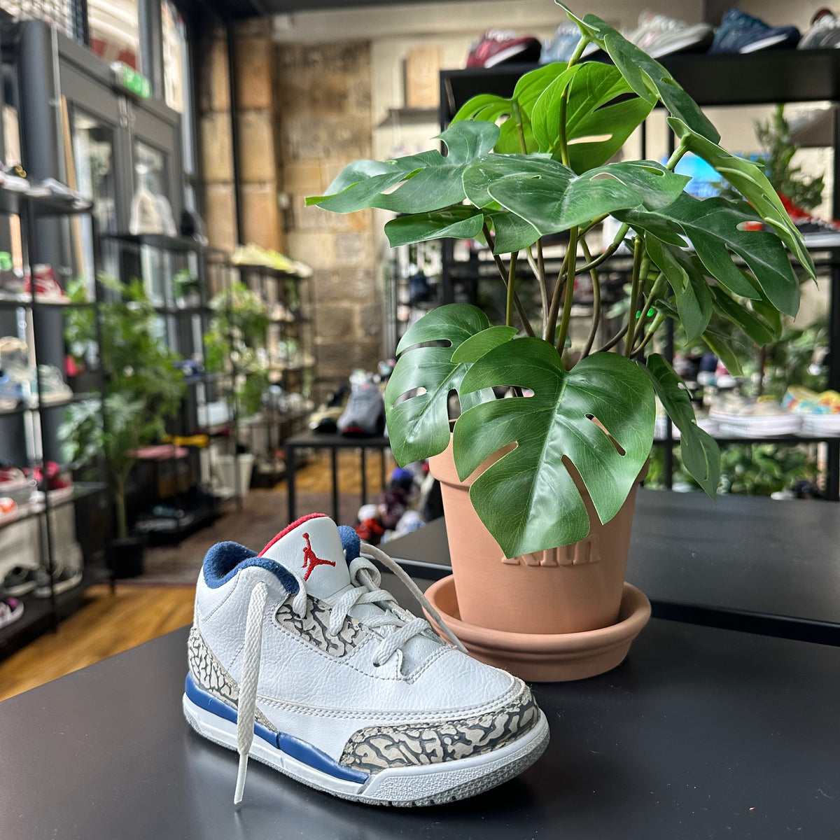 REC0228 - JORDAN 3 TRUE BLUE 2016 - 9C / UK 8.5