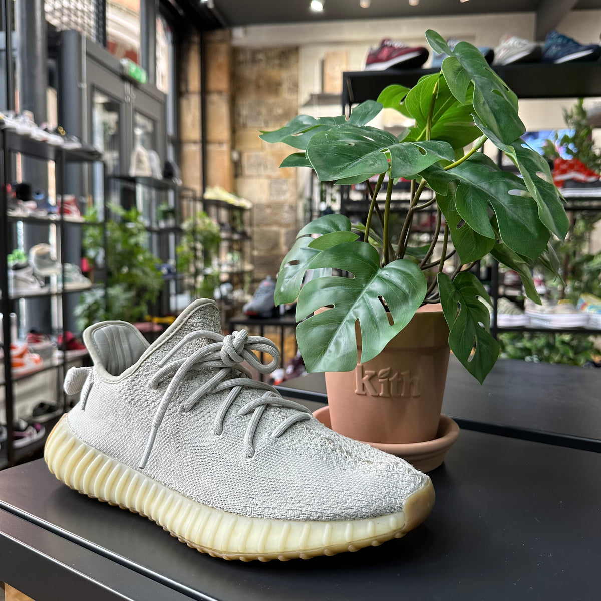 REC0921 - YEEZY 250 V2 SESAME UK 7.5