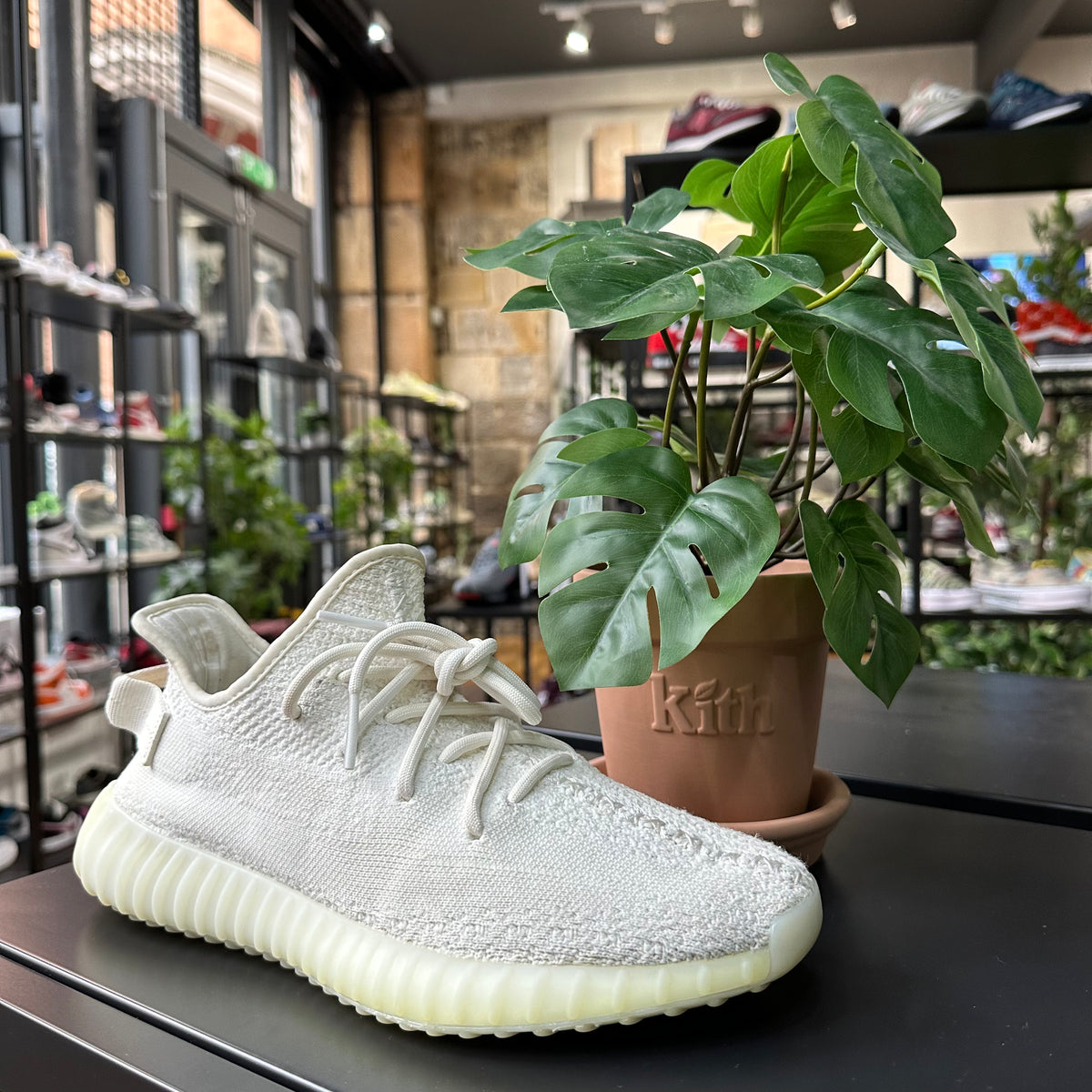 REC0864 - YEEZY 350 V2 CREAM WHITE UK 8