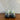 KIDS Nike Air Max 95 (TD) | OG Neon | 905462050 | US 7C / UK 6.5