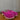 Kids Gucci Amstel Suede Clogs | Pink | EU 33 (UK 1)