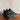 AIR JORDAN 4 | Black Cat | 2025 | FV5029-010 | UK 10 / US 11