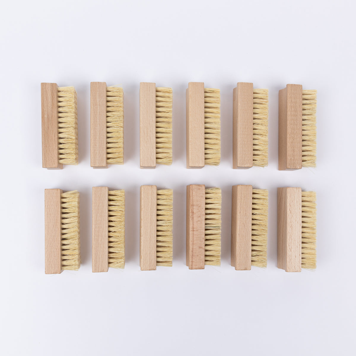 LAUNDRY - CLEANER Brushes (12 Pack)