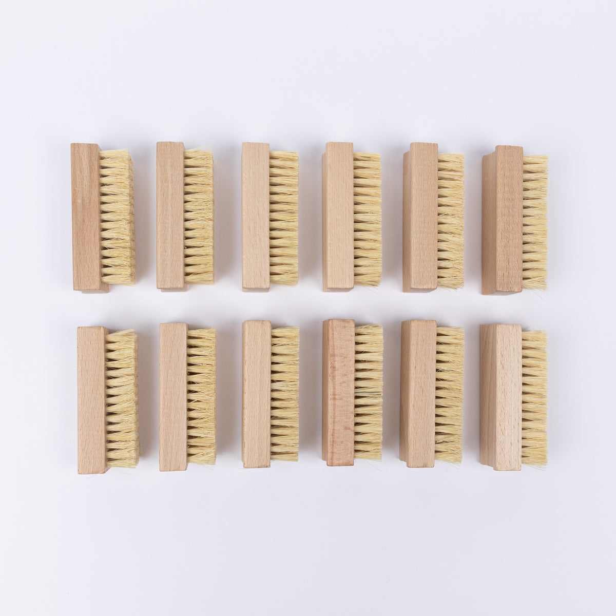 LAUNDRY - CLEANER Brushes (12 Pack)